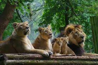 Quirky Loft Apartment in Paignton with sea views