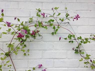 Over Studio Apartment