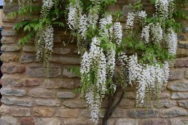 Oundle Bespoke Apartments