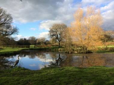 The Linhay Throwleigh