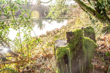 The Tree House - Eco-Friendly Back to Nature Experience