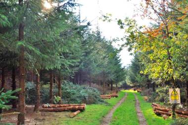 Pastures Green Cabin