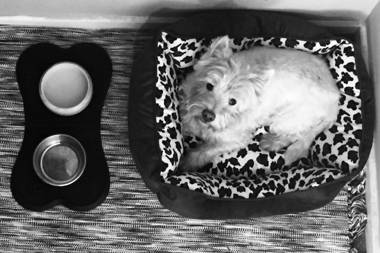 The Beeches Holiday Homes