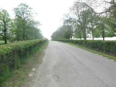 Moo Cow Cottage Self Catering