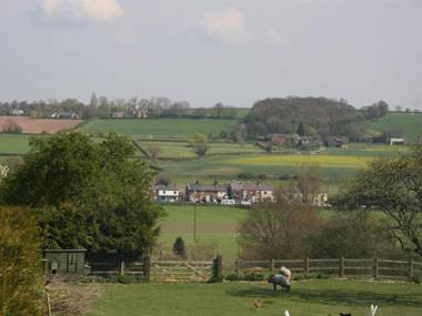 Wall Hill Farm