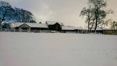 Dunamoy Cottages & Spa