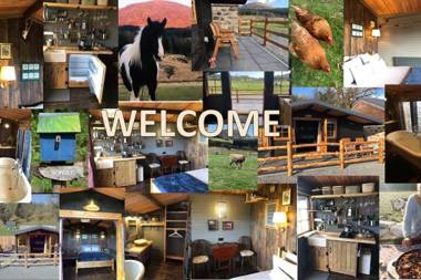 Beautiful 1-Bed Cabin in Newton Stewart