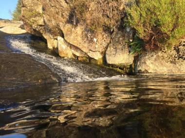 Beautiful 1-Bed Cabin in Newton Stewart