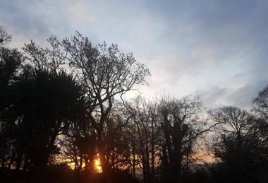 Cosy 2-Bed Property in Ashburton Dartmoor