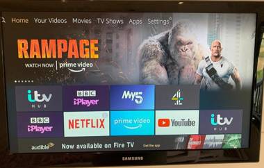 Shepherds Hut at Wern Mill