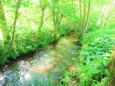 The Hideaway at Tregoose Old Mill