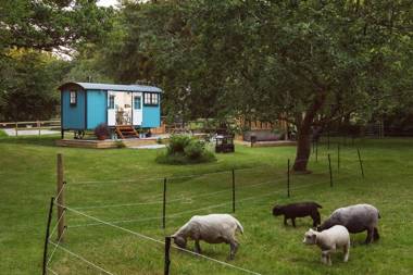 The Wriggly Tin at Tregoose Old Mill