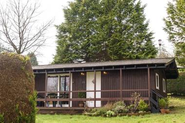 Bluebell Lodge set in a Beautiful 24 acre Woodland Holiday Park
