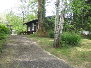 Honeysuckle Lodge set in a Beautiful 24 acre Woodland Holiday Park