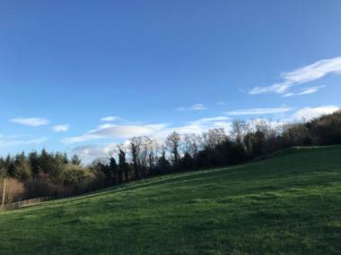 Forest View - Castlewellan County Down