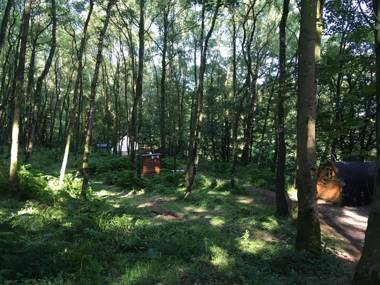 Priest Bridge Cottage