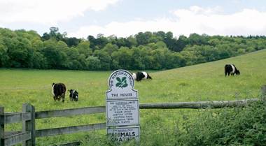 YHA Streatley on Thames