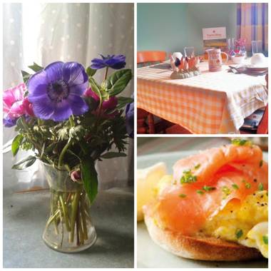 Ivy Farm Accommodation