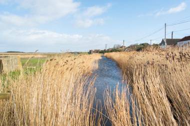 Tystie Cottage - Norfolk Holiday Properties