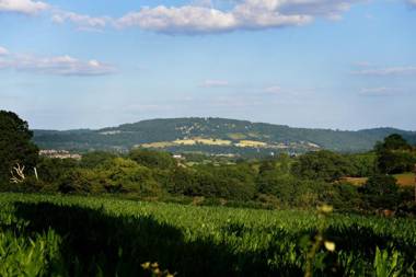 Steppes Farm Cottages