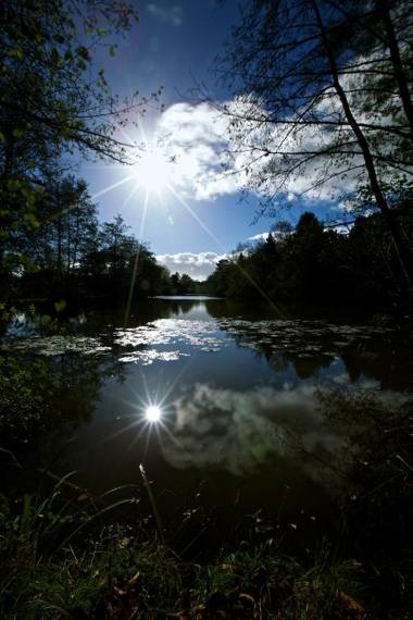 The Wild Hare Tintern