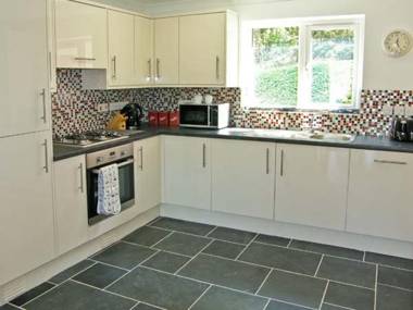 Goldfinch Milford Haven