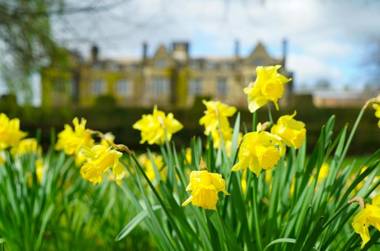 Gisborough Hall Hotel