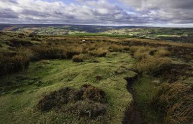 Springhouse Cottages