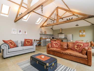 Little Owl Market Rasen