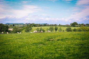 Millmoor Farm Holidays