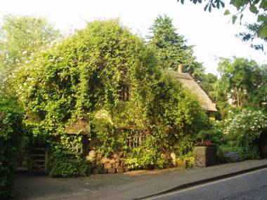 Wizards Thatch Luxury Suites