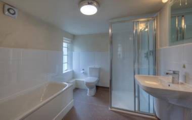 White Rabbit by Chef & Brewer Collection