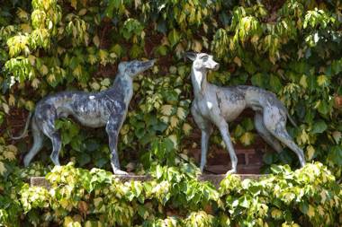 The Greyhound Coaching Inn