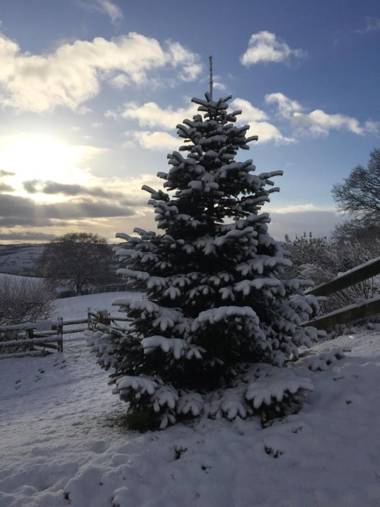 Long Mountain Centre Log Cabins