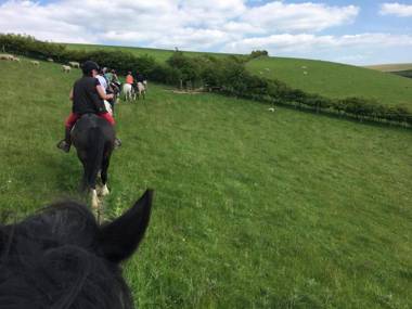Long Mountain Centre Log Cabins