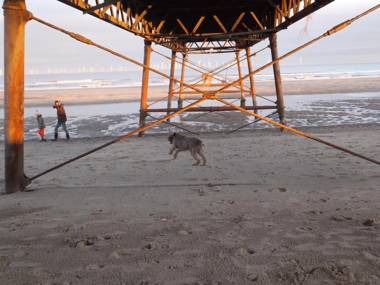 Valletta House Holiday Apartments