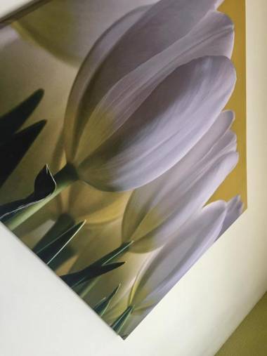 Valletta House Holiday Apartments