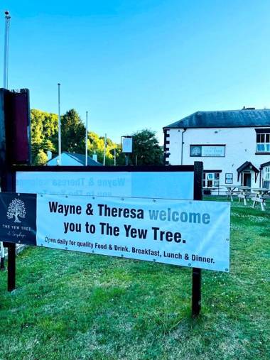 The Yew tree at Longhope