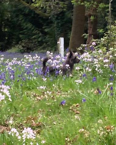 Original Roadsmans Wagon with breathtaking views