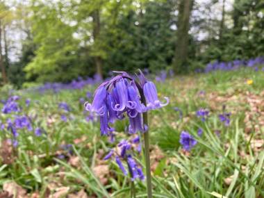 Unique off Grid Tree-House Stay