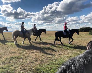 Unique off Grid Tree-House Stay