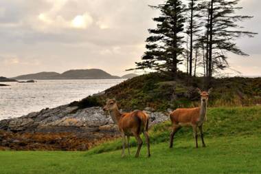 Lochinver Holiday Lodges & Cottages