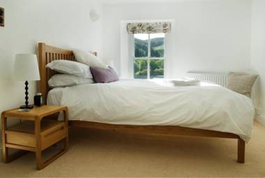 Bronfelin & Troed-y-Rhiw Holiday Cottage