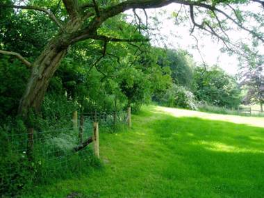 The Forest Country House B&B