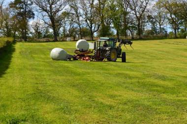 Smithfield Farm Bed & Breakfast