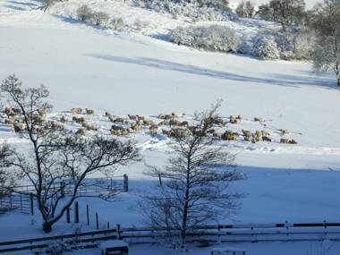 The Red Lion Country Inn B&B self catering