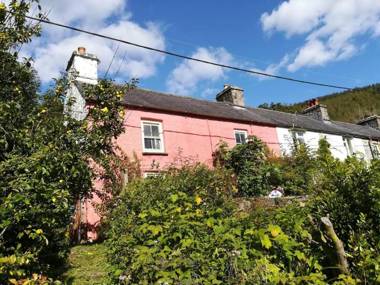 Cosy & Traditional Cottage in Rhandirmwyn