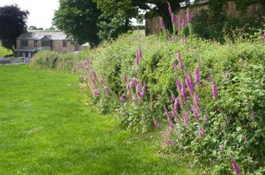 Tregondale Manor Farm