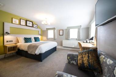 The Hedgehog by Innkeeper's Collection