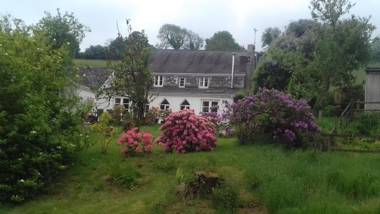 Hills Farm B&B Laugharne